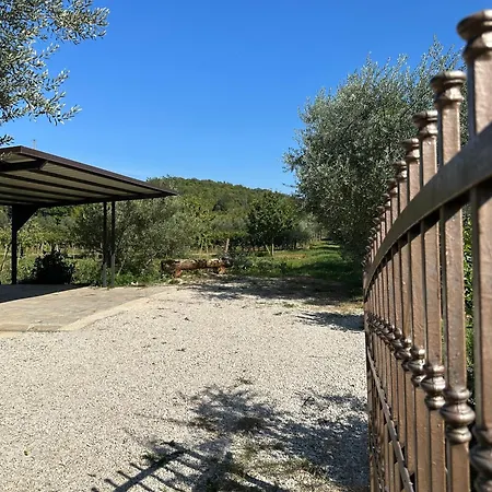 Bokalu With Private Pool * Poreč