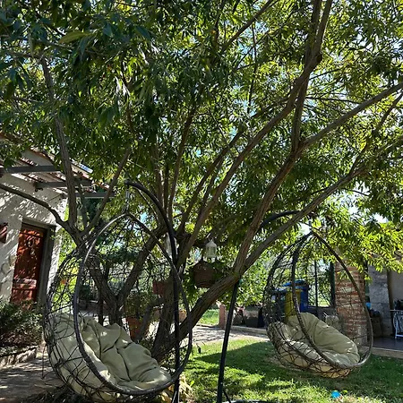 Bokalu With Private Pool Porec